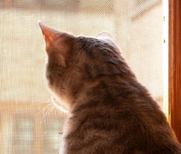 Pet Stress Free Life